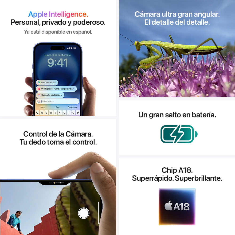 Miniatura 9