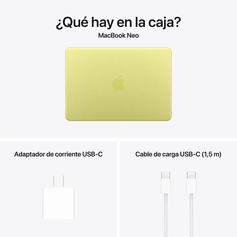 Miniatura 13