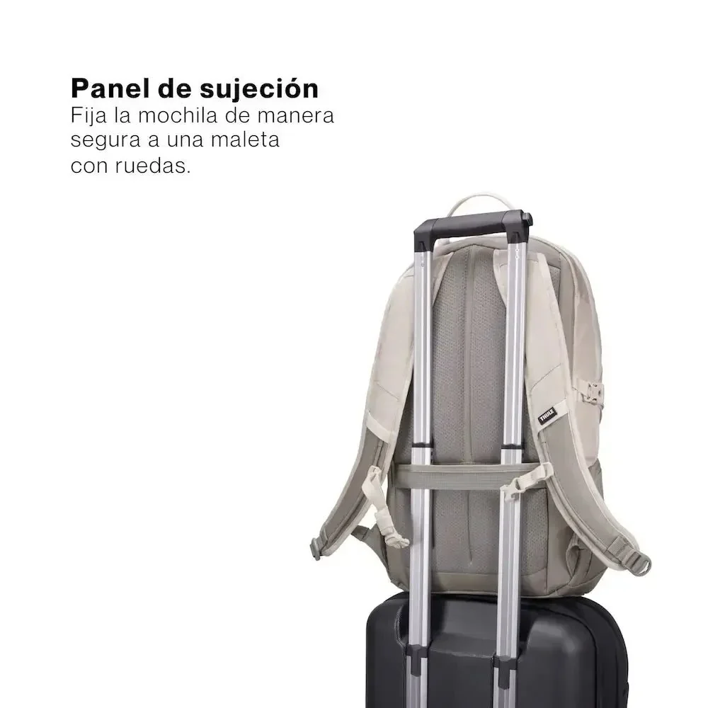 Miniatura 12