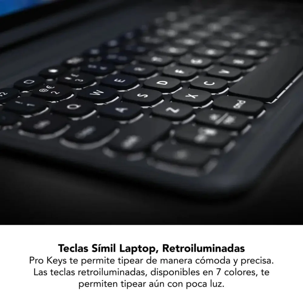 Miniatura 17